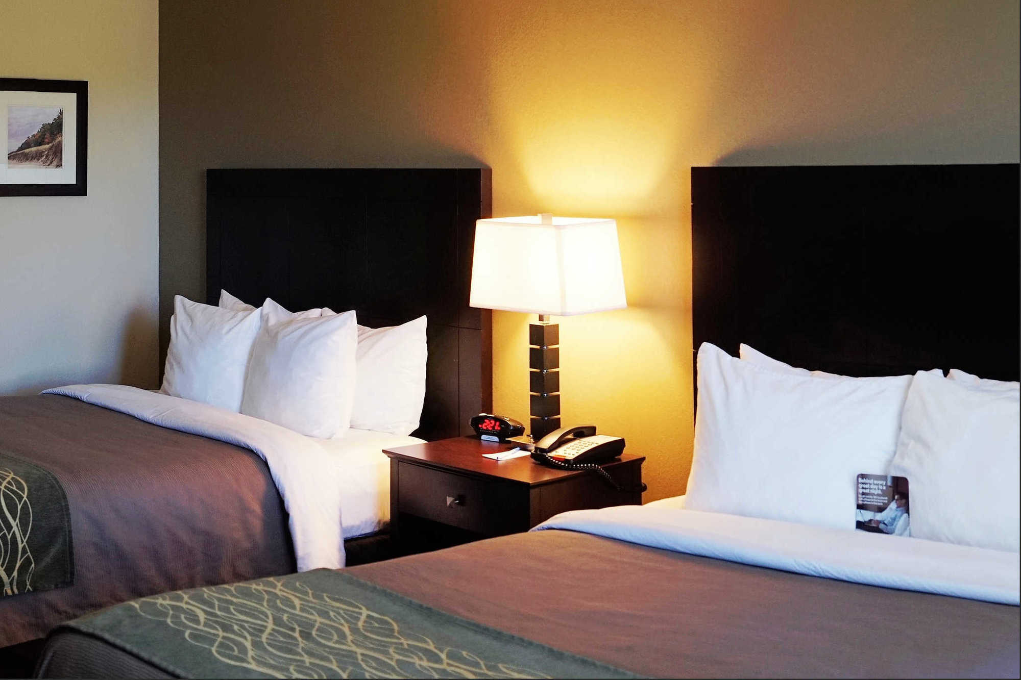 Comfort Inn & Suites Porter Near Indiana Dunes Ruang foto