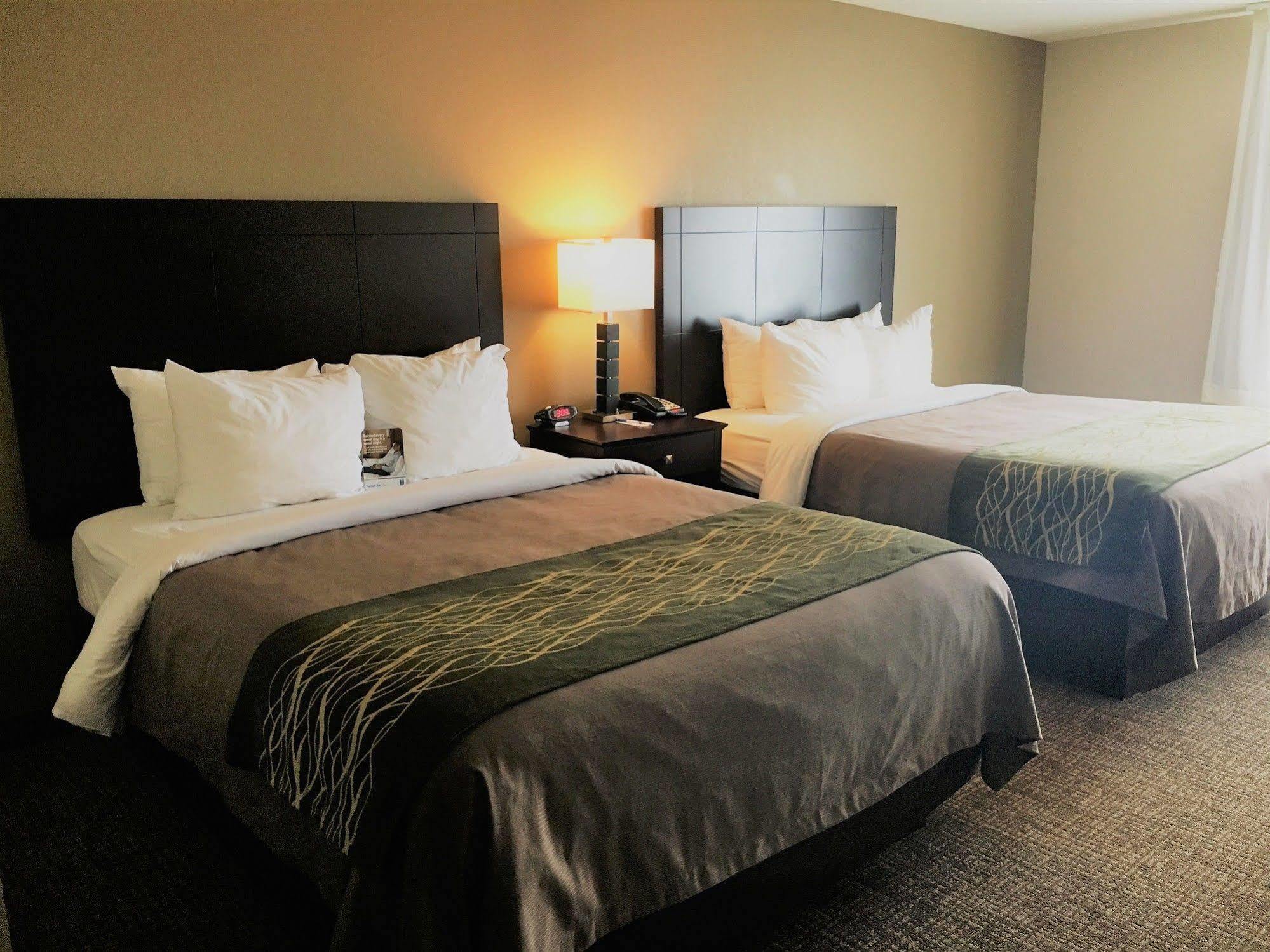 Comfort Inn & Suites Porter Near Indiana Dunes Bagian luar foto