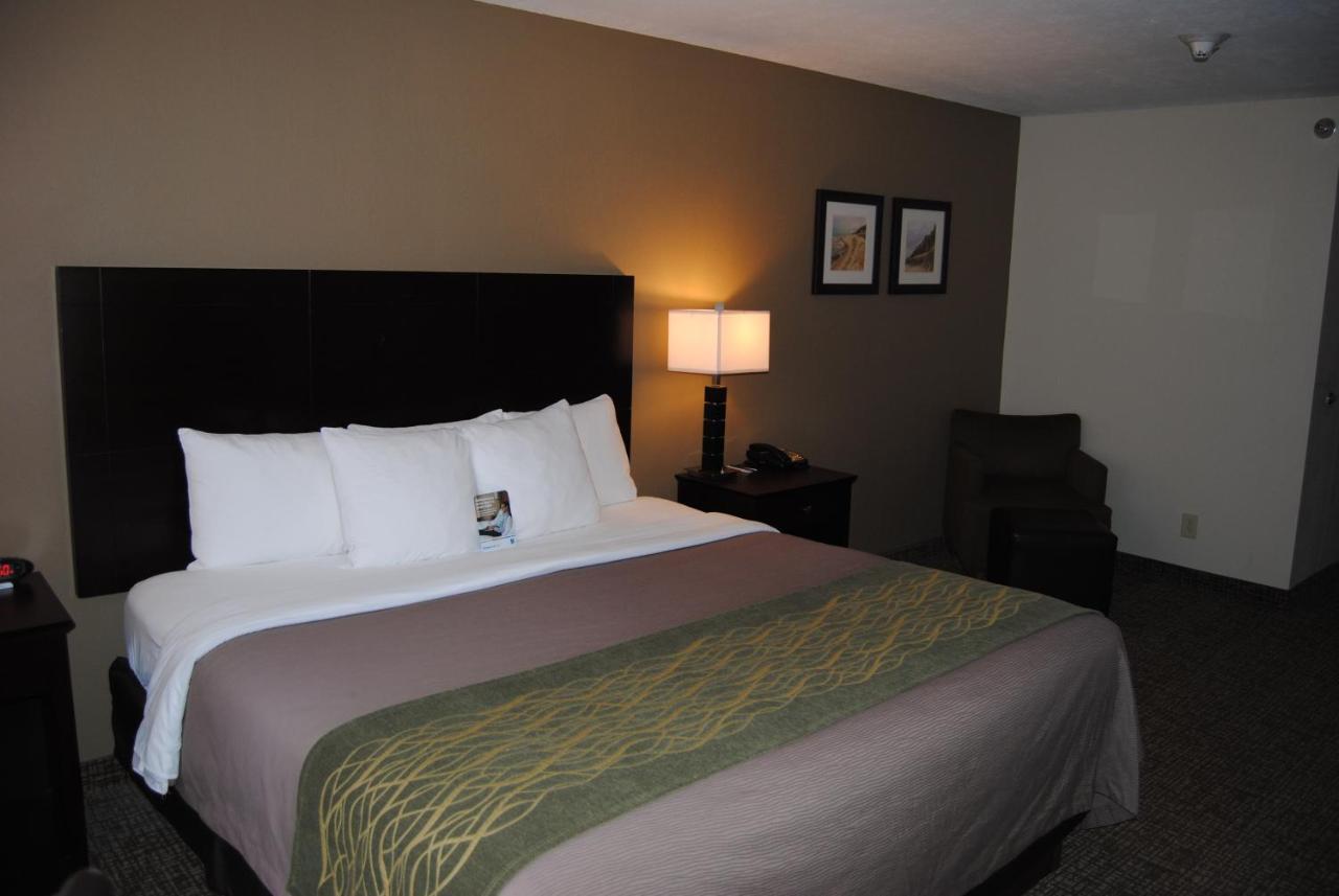 Comfort Inn & Suites Porter Near Indiana Dunes Bagian luar foto